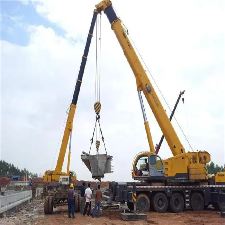 大安小型吊机出租电话|厂房设备吊装方案|24小时服务覆盖